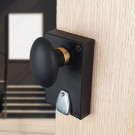 2 boutons de porte intérieure OLIVES, Porcelaine Noir, Carré 6 mm - Embase dorée