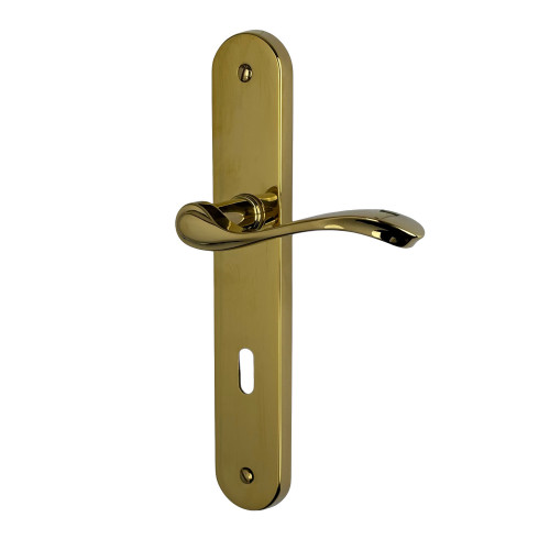 Poignée de porte laura entrée de clé