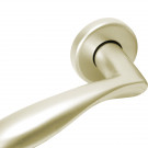 2 poignées de porte sur rosace ronde DETROIT, Aluminium doré F2