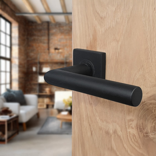 2 poignées de porte sur rosace carrée BRUNELLA, Ressort bidirectionnel, Inox noir mat