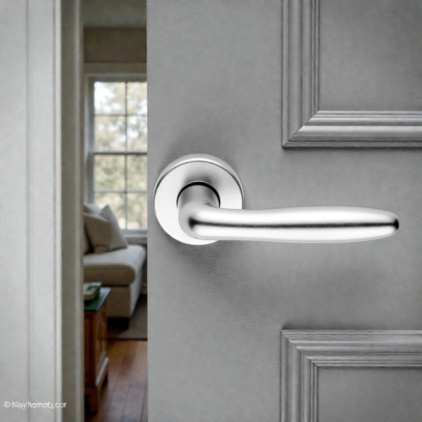 2 poignées de porte VENUS, Rosace ronde, Aluminium anodisé argent F1