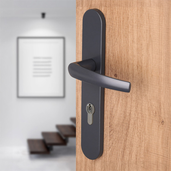 2 poignées de porte d'entrée à cylindre AVORIAZ, Aluminium gris anthracite RAL7016 entraxe 195 mm - Mise en situation