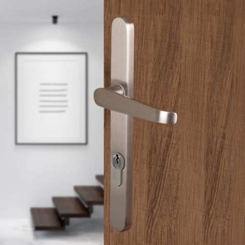 2 poignées de porte à cylindre VEGA, Saillie réduite côté extérieur, Aluminium entraxe 195 mm - Mise en situation