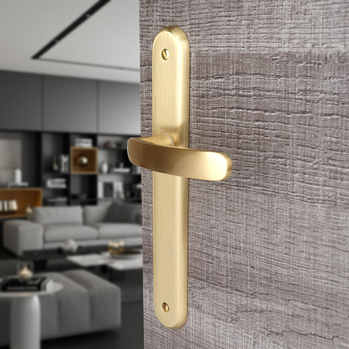 2 poignées de porte VINTAGE, Laiton poli satiné entraxe 195 mm - Sans trou - Mise en situation