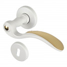 Poignée sur rosace EVITA laiton doré