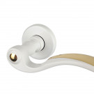 Poignée sur rosace EVITA laiton doré