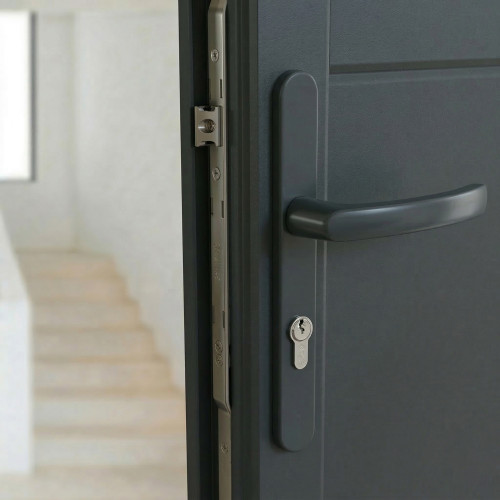 2 poignées de porte d'entrée BALTIC, plaque étroite, Aluminium gris anthracite entraxe 195 mm