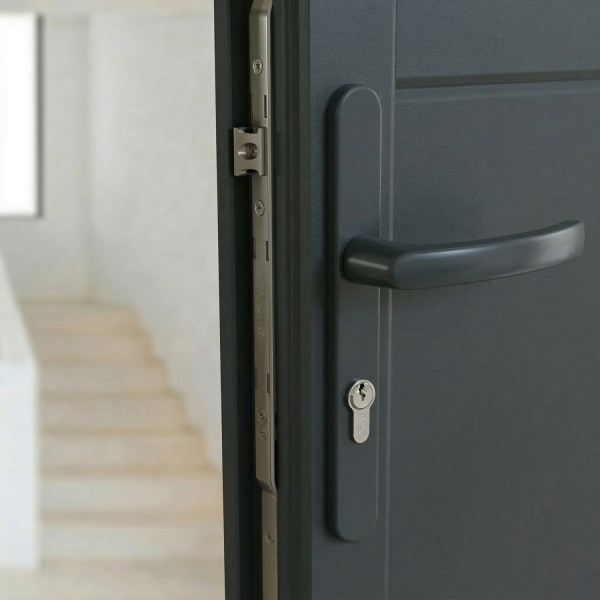 2 poignées de porte d'entrée BALTIC, plaque étroite, Aluminium gris anthracite entraxe 195 mm