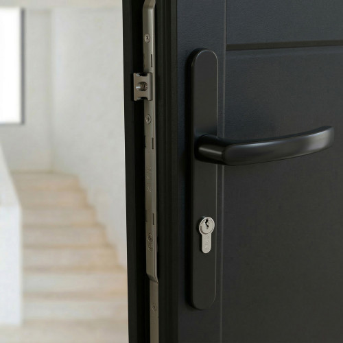 2 poignées de porte d'entrée BALTIC, plaque étroite, Aluminium noir entraxe 195 mm - Mise en situation