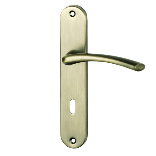 2 poignées de porte ALBERTVILLE, Métal canon de fusil entraxe 195 mm