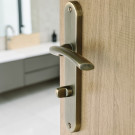 2 poignées de porte ALBERTVILLE, Métal canon de fusil entraxe 195 mm