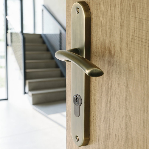 2 poignées de porte ALBERTVILLE, Métal canon de fusil entraxe 195 mm