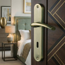 2 poignées de porte ALBERTVILLE, Métal canon de fusil entraxe 195 mm