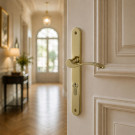 2 poignées de porte ANNA, Laiton poli pour porte d'entrée entraxe 195 mm