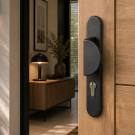 2 poignées de porte à cylindre BALTIC, palière côté extérieur, Aluminium gris inox entraxe 195 mm