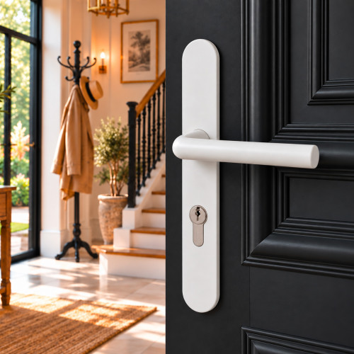 2 poignées de porte d'entrée EDISON, Aluminium blanc mat entraxe 195 mm