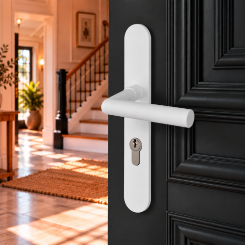 2 poignées de porte à cylindre EDISON, réhaussée côté extérieur, Aluminium blanc mat entraxe 195 mm