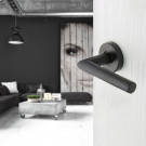 2 poignées de porte sur rosace BRUNELLA, Inox