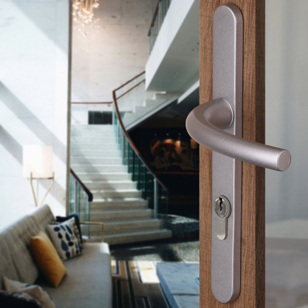 2 poignées de porte à cylindre ZÉNIA, plaque étroite, Aluminium argent entraxe 195 mm