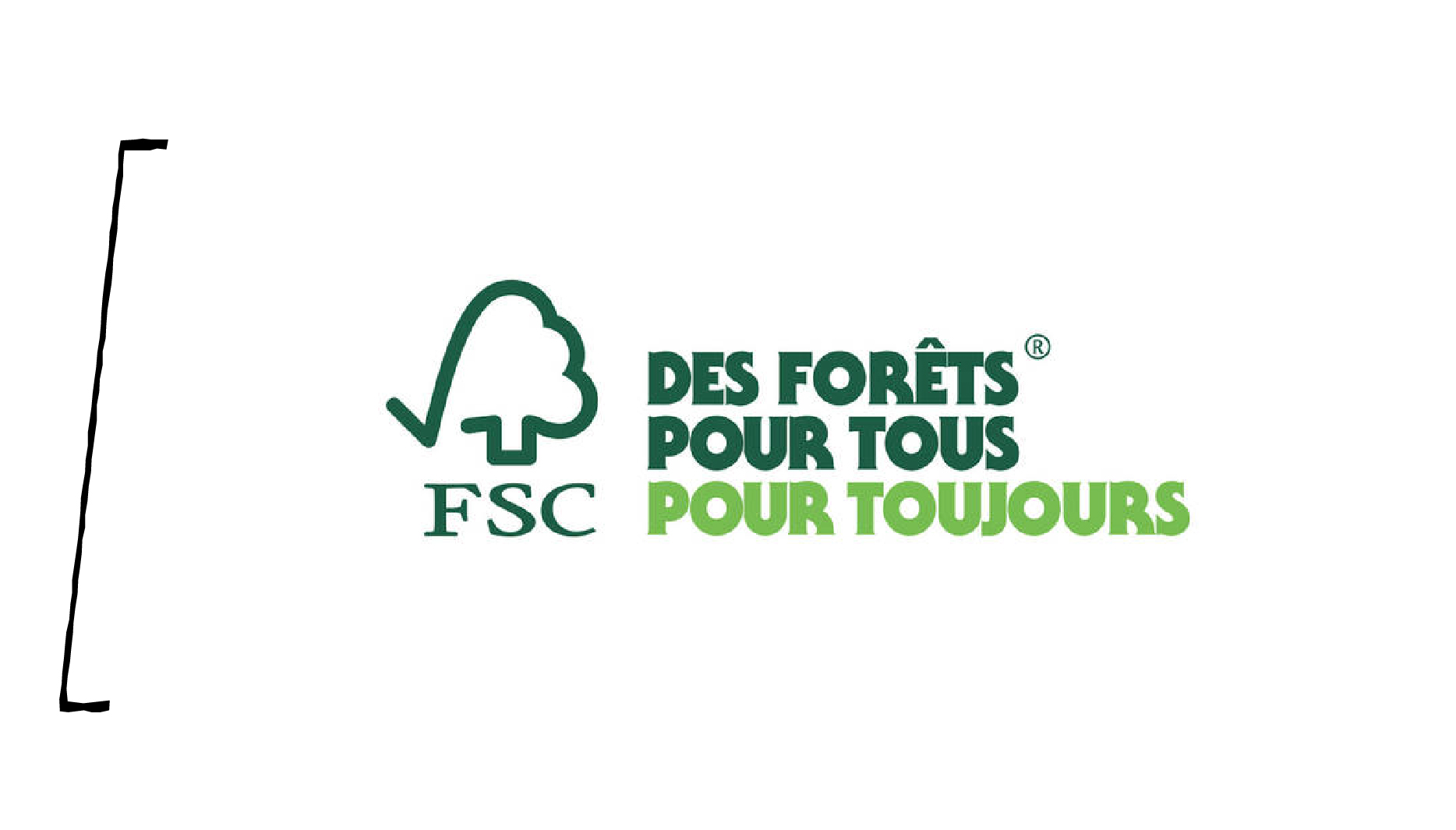 FSC2_Plan de travail 1.jpg