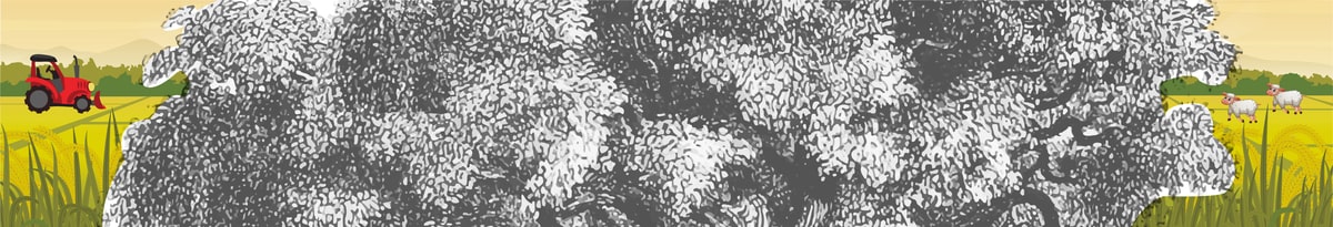 BLOC2_Plan de travail 1-min.jpg