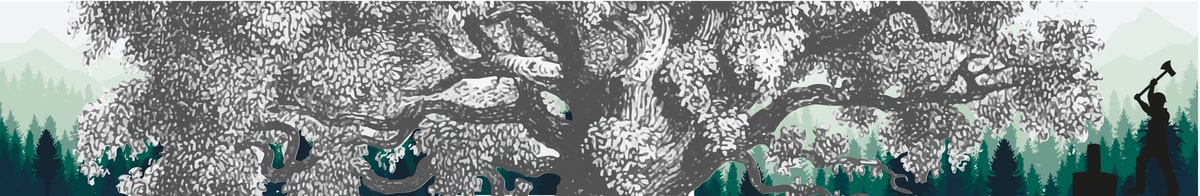 BLOC7_Plan de travail 1.jpg