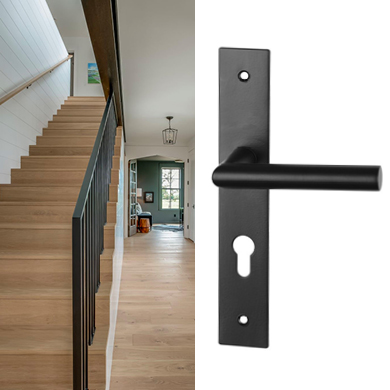 poignee de porte sur plaque BRUNELLA inox mat cylindre